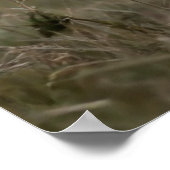 Plakatpferd läuft poster (Ecke)