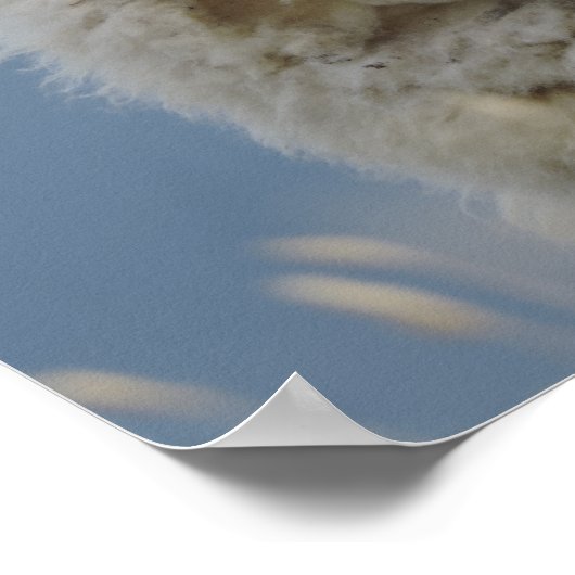 Plakatspass Poster (Ecke)