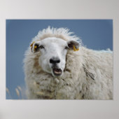 Plakatspass Poster (Vorne)