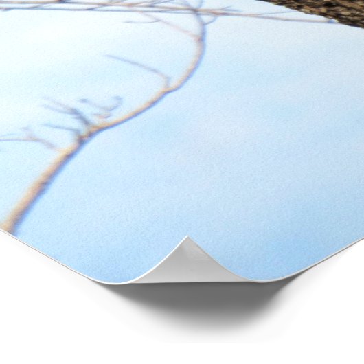 Plakatspecht (3625) poster (Ecke)