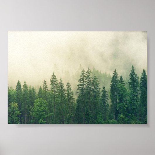 Plakatwald, großer Wald Poster (Vorne)