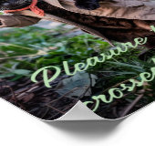 Plakatwerbung für traurige und einsame Haustiere:  Poster (Ecke)