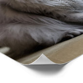 Plakatwerbung für traurige und einsame Haustiere: Poster (Ecke)