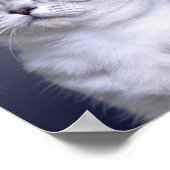 Plakatwerbung für traurige und einsame Haustiere:  Poster (Ecke)