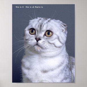 Plakatwerbung für traurige und einsame Haustiere: Poster