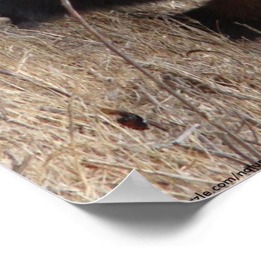 Plakatwerbung Poster (Ecke)