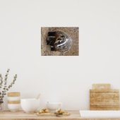 Plakatwerbung Poster (Küche)