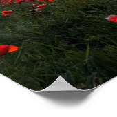 Plakatwerbung/Print Poster (Ecke)