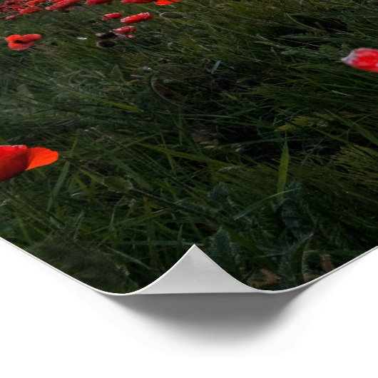 Plakatwerbung/Print Poster (Ecke)