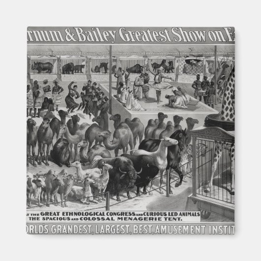Plakatwerbung: 'The Barnum and Bailey Magnet (Vorne)