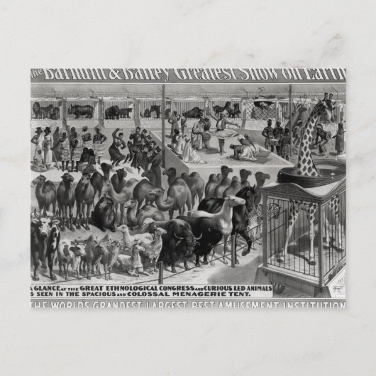 Plakatwerbung: 'The Barnum and Bailey Postkarte (Vorderseite)