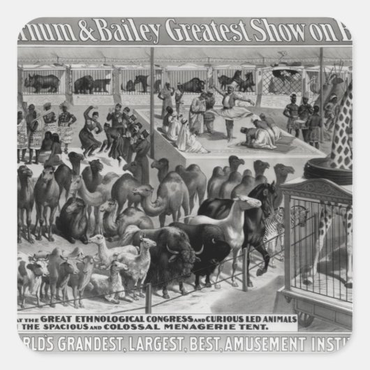 Plakatwerbung: 'The Barnum and Bailey Quadratischer Aufkleber (Vorderseite)
