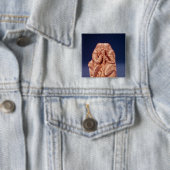 Plakette, die zwei Scythians teilt ein Getränk Button (Beispiel)