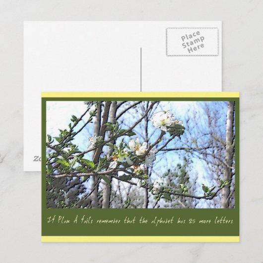 Plan A Postkarte (Vorne/Hinten)