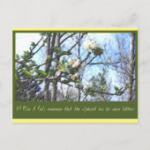 Plan A Postkarte (Vorderseite)