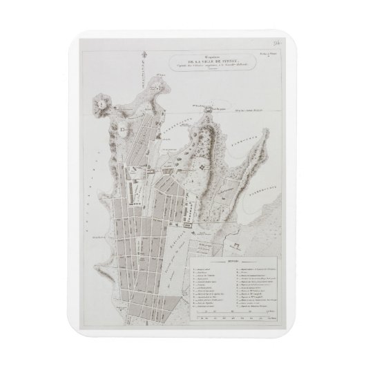 Plan der Stadt Sydney, von 'Voyage Autour du Magnet (Vertikal)