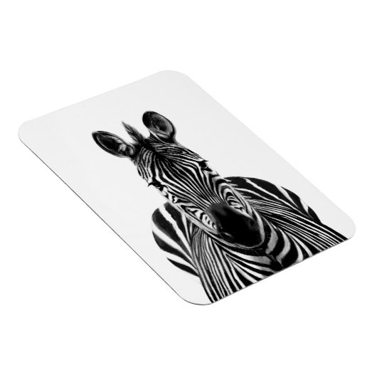 Plan III Magnet (Rechte Seite)