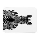 Plan III Magnet (Horizontal)