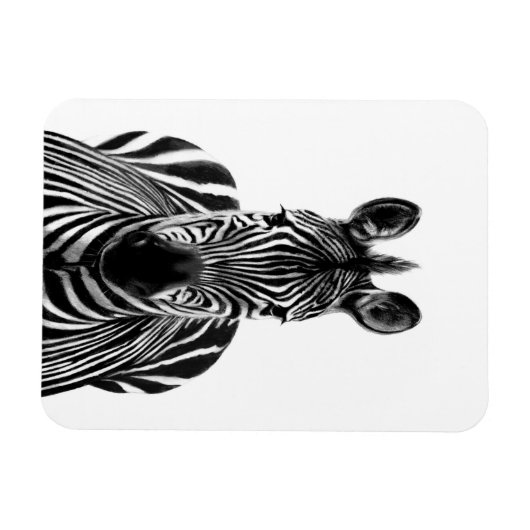 Plan III Magnet (Horizontal)