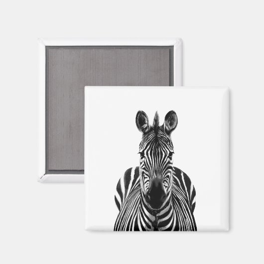 Plan III Magnet (Vorderseite/Rückseite)