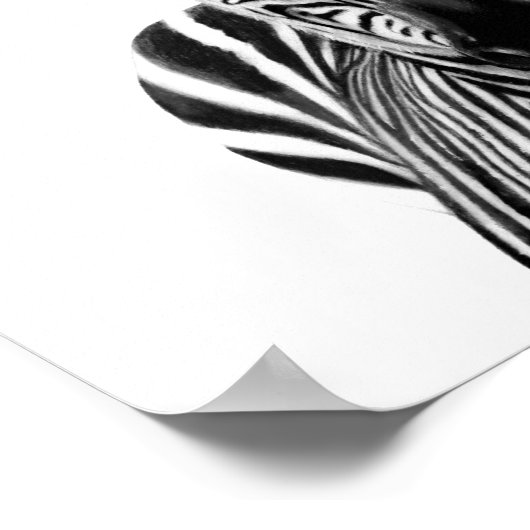 Plan III Poster (Ecke)