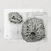 Plan von König Georges Island oder Otheite, 1769 Postkarte (Vorne/Hinten)