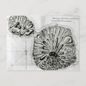 Plan von König Georges Island oder Otheite, 1769 Postkarte (Vorderseite)