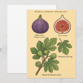 Planche Botanique Figue Ficus Carica  Einladung (Vorne/Hinten)