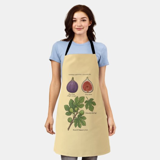 Planche Botanique Figue Ficus Carica  Schürze (Getragen)