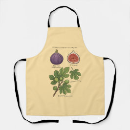 Planche Botanique Figue Ficus Carica  Schürze