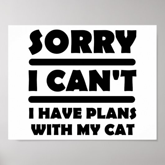 Pläne mit meinem Chat-Funny-Poster Poster (Vorne)