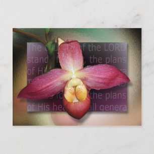 Pläne seines Herzens Postkarte