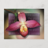 Pläne seines Herzens Postkarte (Vorderseite)