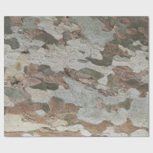 Plane tree camouflage looks bark pattern geschenkpapier (Flach)