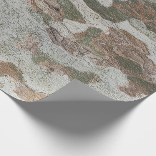 Plane tree camouflage looks bark pattern geschenkpapier (Ecke)