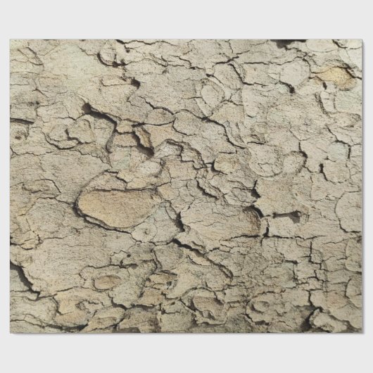 Plane tree camouflage looks bark pattern wrapping geschenkpapier (Flach)