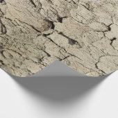 Plane tree camouflage looks bark pattern wrapping geschenkpapier (Ecke)