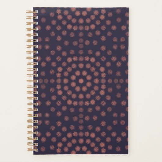 Planer (Vorderseite)