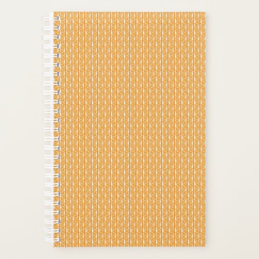 Planer (Vorderseite)