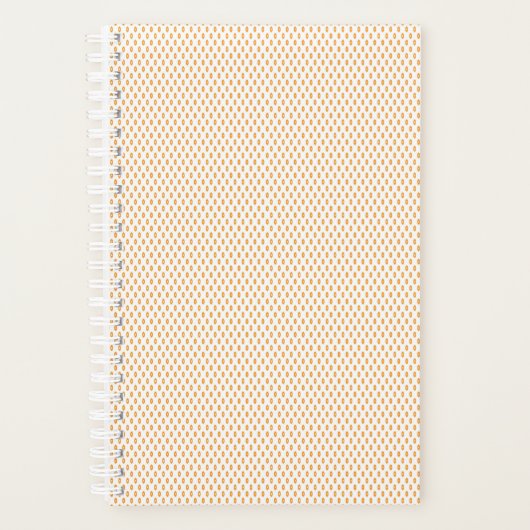 Planer (Vorderseite)