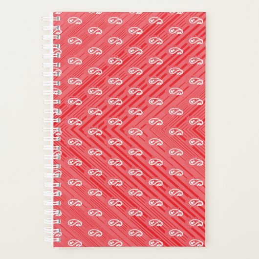 Planer (Vorderseite)