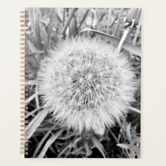 Planer (Vorderseite)