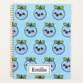 Planer (Vorderseite)