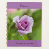 Planer (Vorderseite)