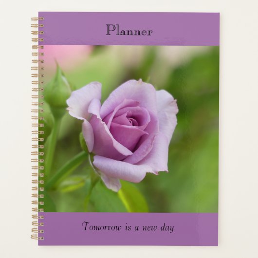 Planer (Vorderseite)
