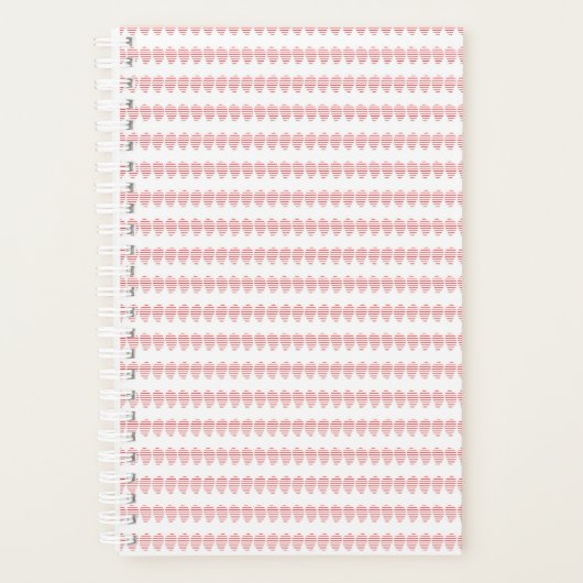 Planer (Vorderseite)