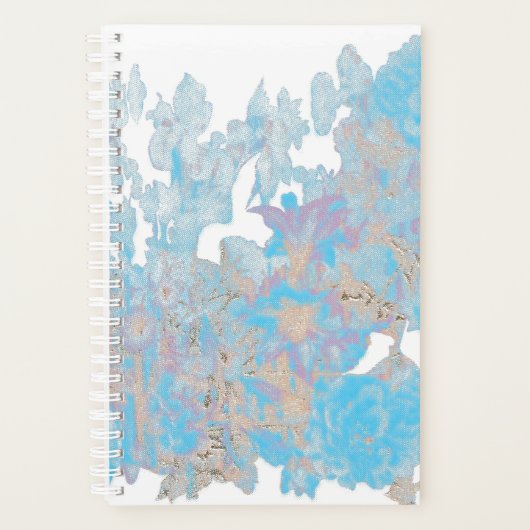 Planer (Vorderseite)