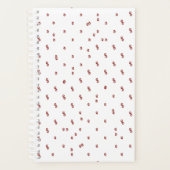 Planer (Vorderseite)