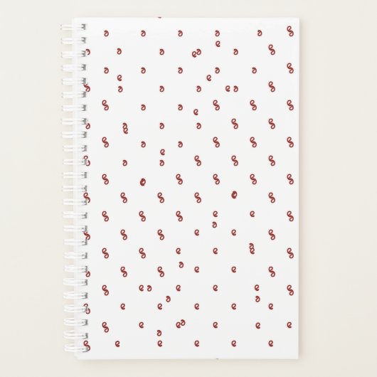 Planer (Vorderseite)