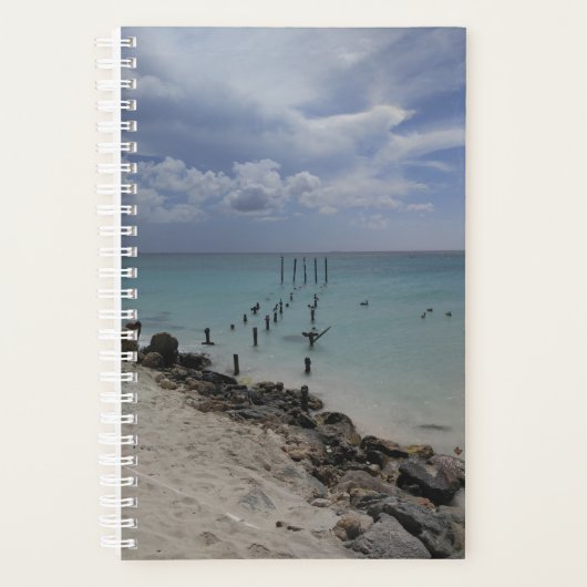 Planer (Vorderseite)